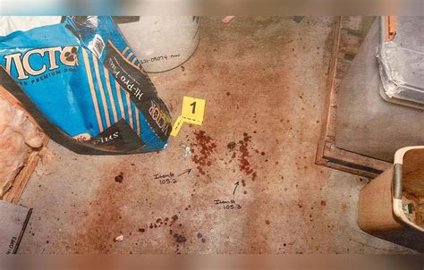 murdaugh murder crime scene pictures|Murdaugh Murders: Crime Scene Photos Shown in Court